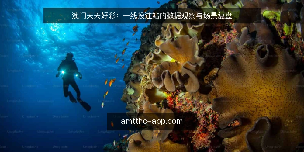 澳门天天好彩：一线投注站的数据观察与场景复盘 — 信号观察：哪些数据值得盯 配图