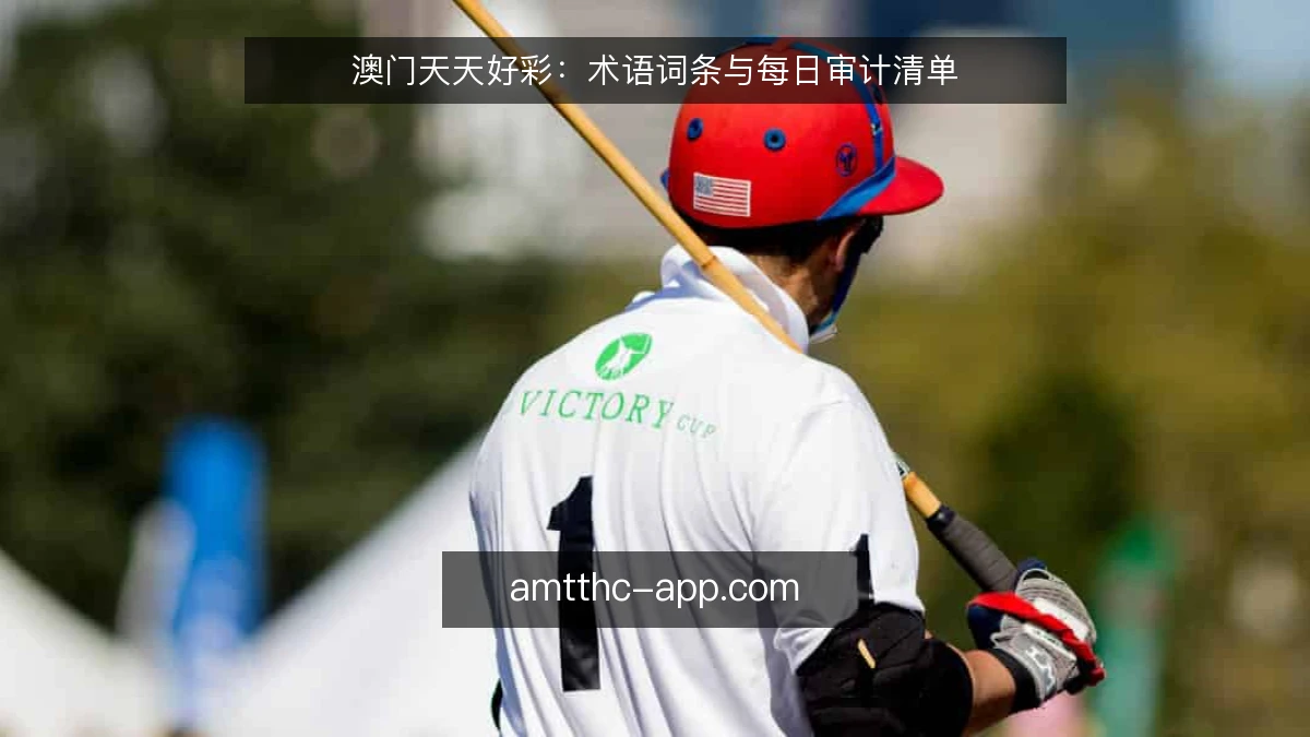 澳门天天好彩：术语词条与每日审计清单