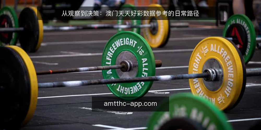 从观察到决策：澳门天天好彩数据参考的日常路径 — 起点：一次日常的数据观察 配图