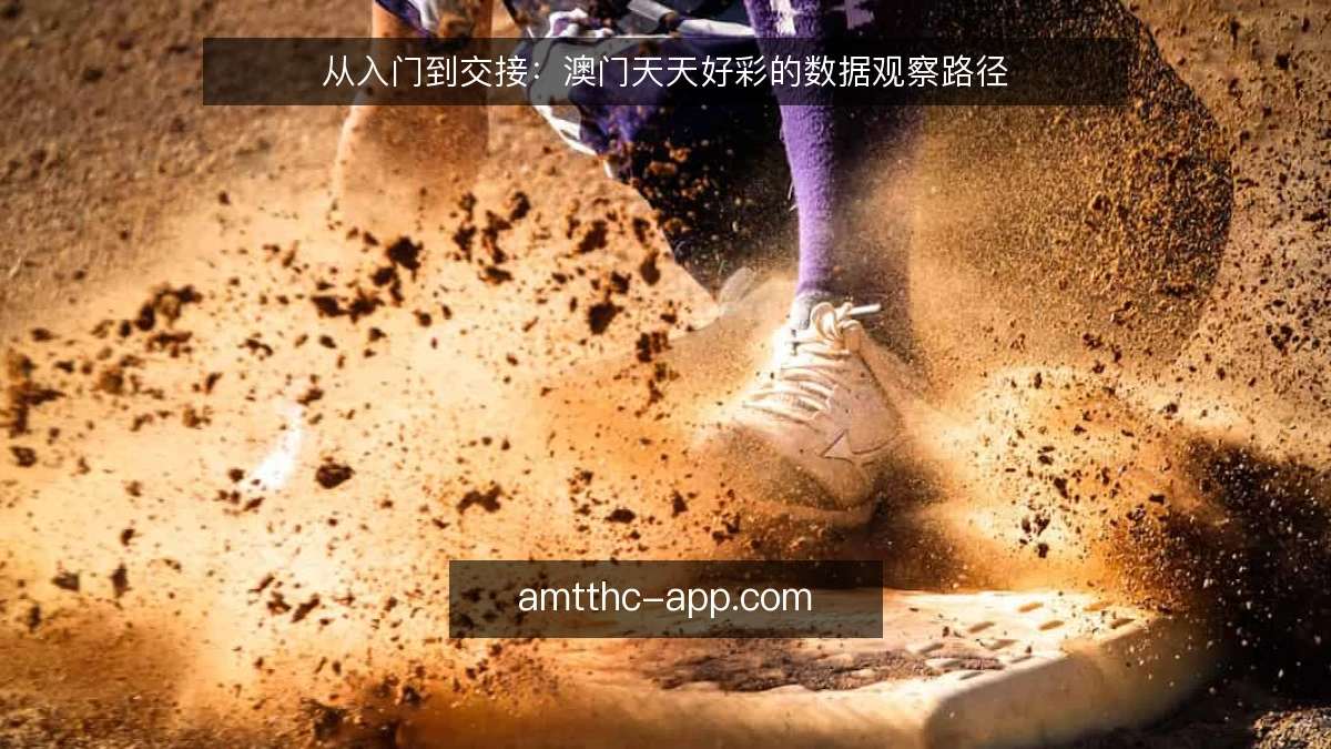 从入门到交接：澳门天天好彩的数据观察路径