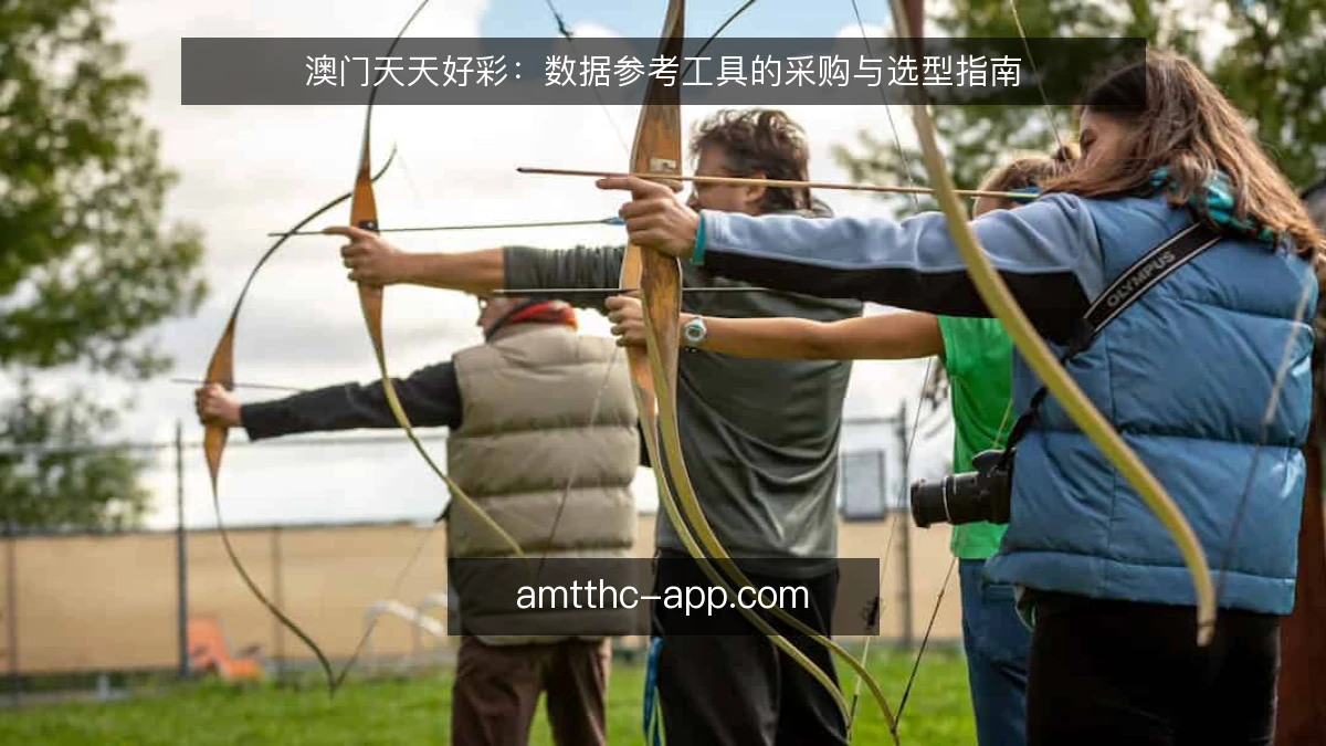澳门天天好彩：数据参考工具的采购与选型指南