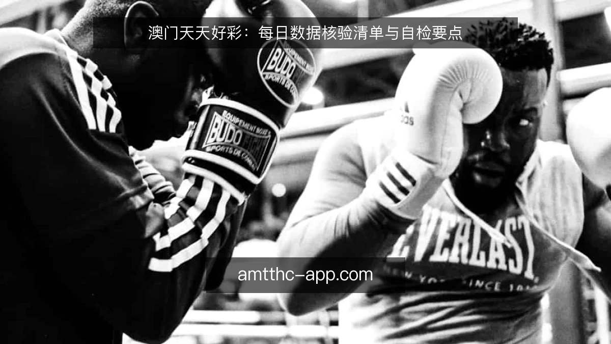 澳门天天好彩：每日数据核验清单与自检要点