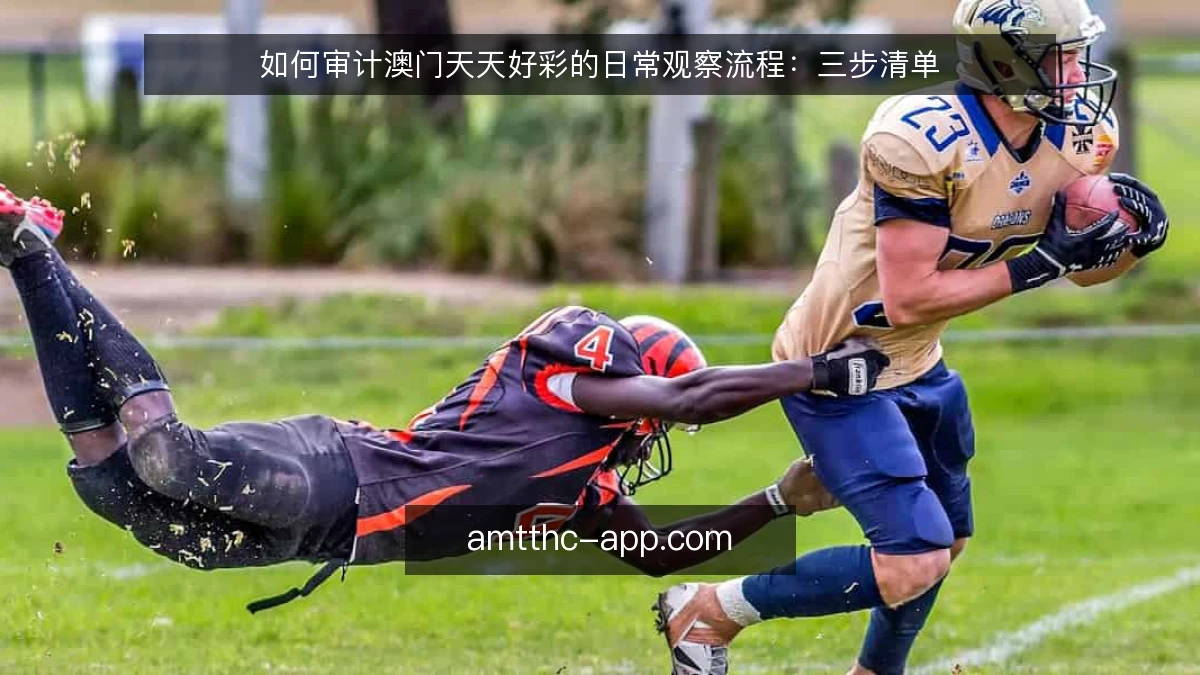 如何审计澳门天天好彩的日常观察流程：三步清单