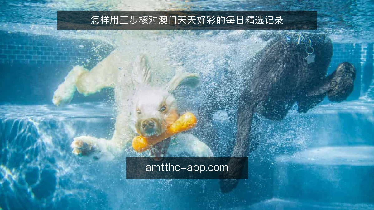 怎样用三步核对澳门天天好彩的每日精选记录